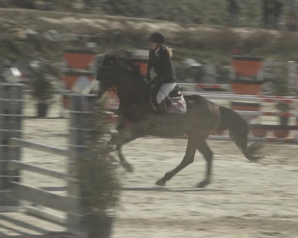 Reitturnier K, St. Margarethen-Stückler 2022