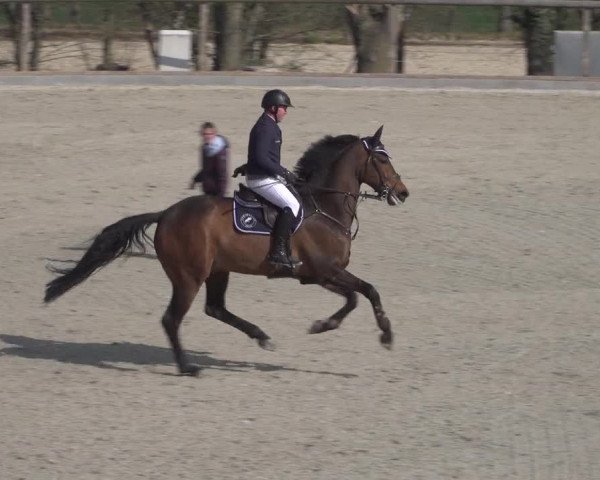 Reitturnier Erkrath - Uhlenhof 2022