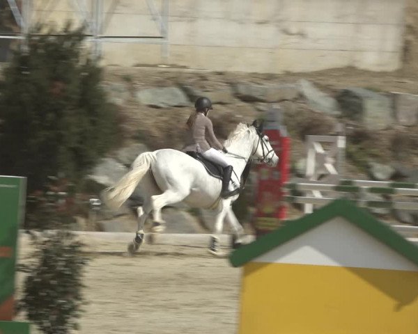 Reitturnier K, St. Margarethen-Stückler 2022