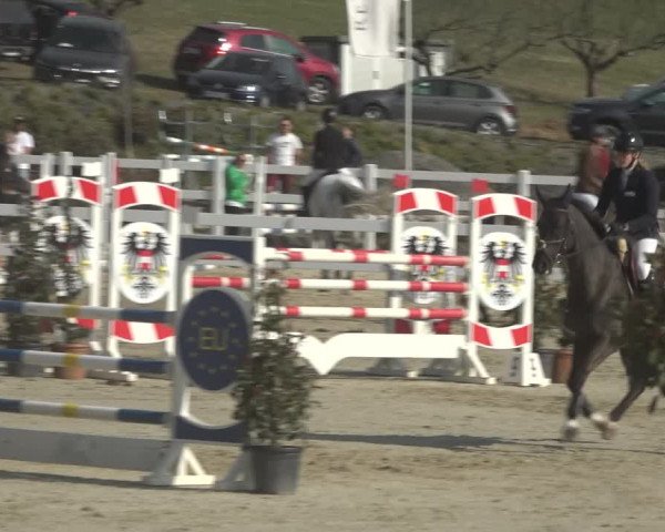Reitturnier K, St. Margarethen-Stückler 2022