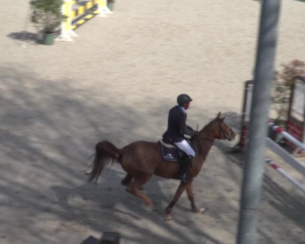 Reitturnier Erkrath - Uhlenhof 2022