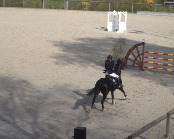 Reitturnier Erkrath - Uhlenhof 2022