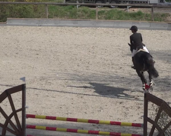 Reitturnier Erkrath - Uhlenhof 2022