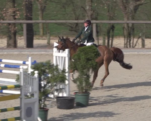 Reitturnier Erkrath - Uhlenhof 2022