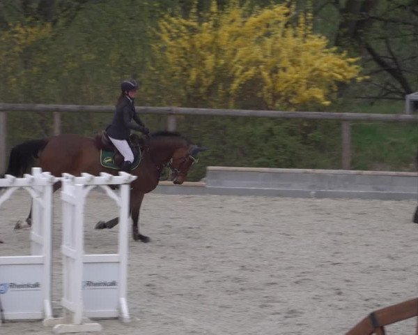 Reitturnier Erkrath - Uhlenhof 2022