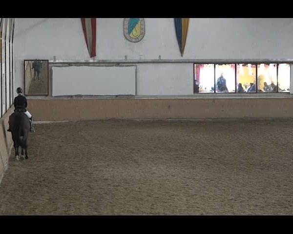 Reitturnier NÖ, Kottingbrunn 2022