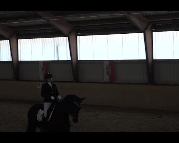 Reitturnier NÖ, Kottingbrunn 2022