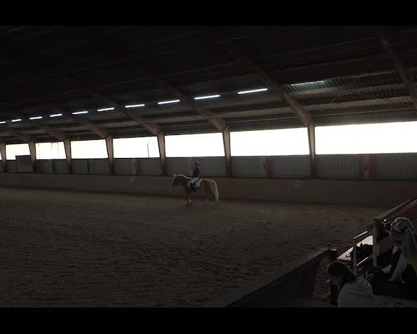 Reitturnier NÖ, Kottingbrunn 2022