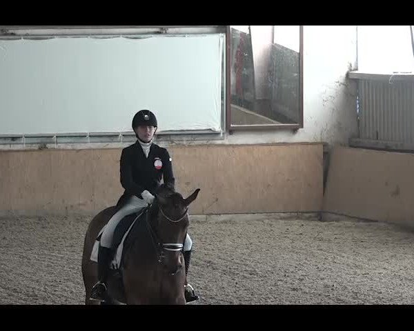 Reitturnier NÖ, Kottingbrunn 2022