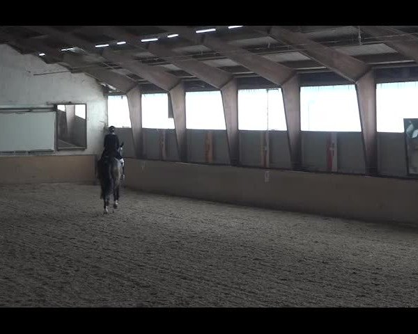 Reitturnier NÖ, Kottingbrunn 2022