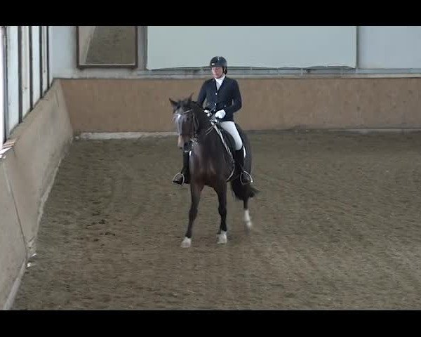 Reitturnier NÖ, Kottingbrunn 2022