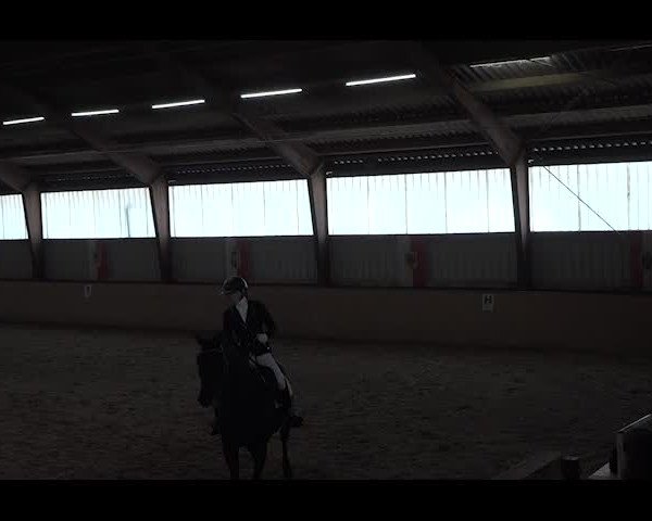 Reitturnier NÖ, Kottingbrunn 2022