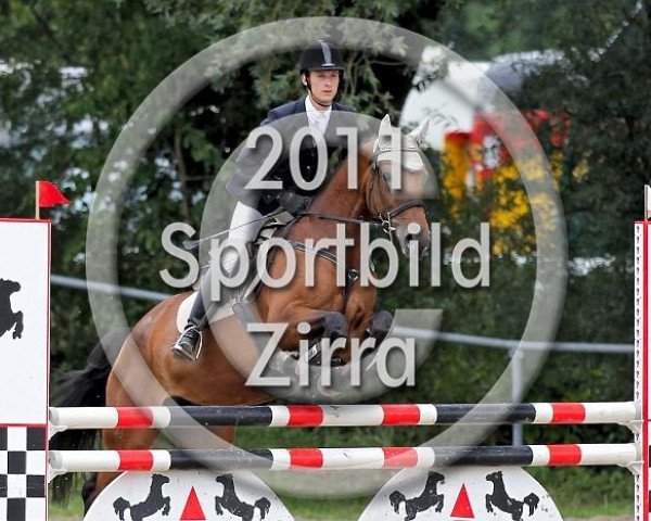 broodmare Glemita (Zangersheide riding horse, 2001, from Goldfever 3)