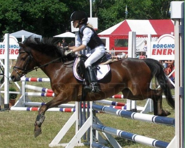 Pferd Zita RW 1088 (Schwedisches Reitpony, 1995, von Dito)
