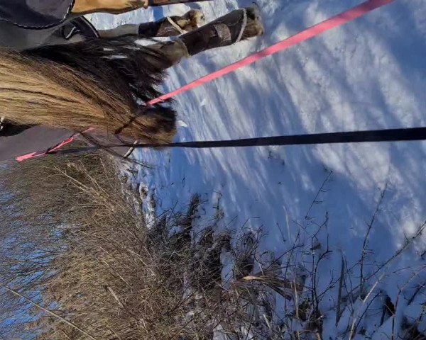 Video von Lamina