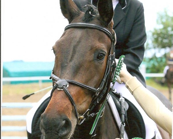 jumper Terra X GL (Rhinelander, 2006, from Templer GL xx)