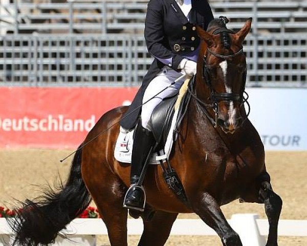 stallion Charming 8 (Rhinelander, 1998, from Champus) stallion Charming 8 (Rhinelander, 1998, from Champus)