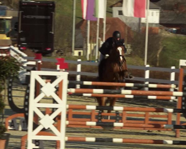 Reitturnier K, St. Margarethen-Stückler 2022