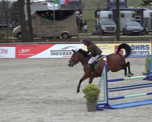 Reitturnier Westergellersen 2022