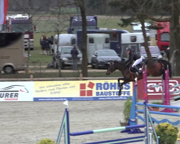 Reitturnier Westergellersen 2022