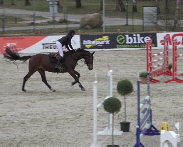 Reitturnier Westergellersen 2022