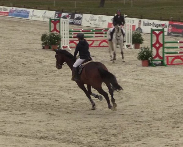 Reitturnier Westergellersen 2022