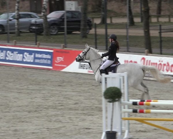 Reitturnier Westergellersen 2022
