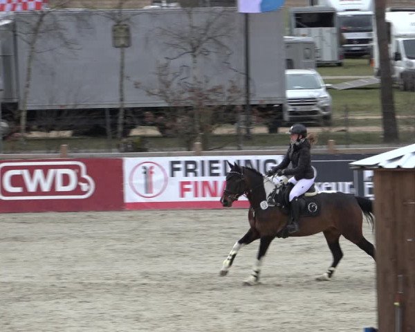 Reitturnier Westergellersen 2022
