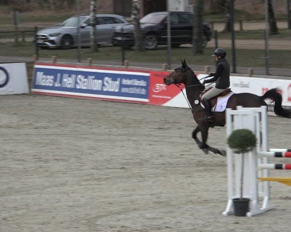 Reitturnier Westergellersen 2022