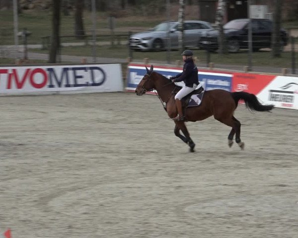 Reitturnier Westergellersen 2022