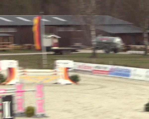 Reitturnier Westergellersen 2022