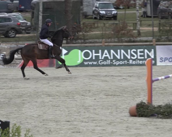Reitturnier Westergellersen 2022