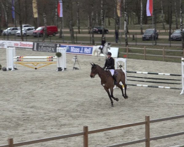 Reitturnier Westergellersen 2022