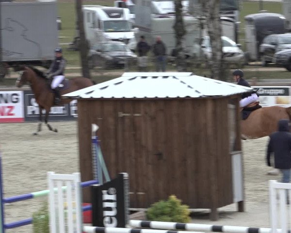 Reitturnier Westergellersen 2022