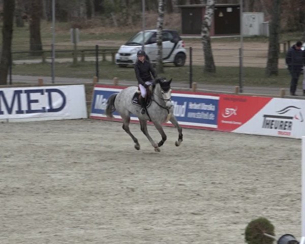 Reitturnier Westergellersen 2022