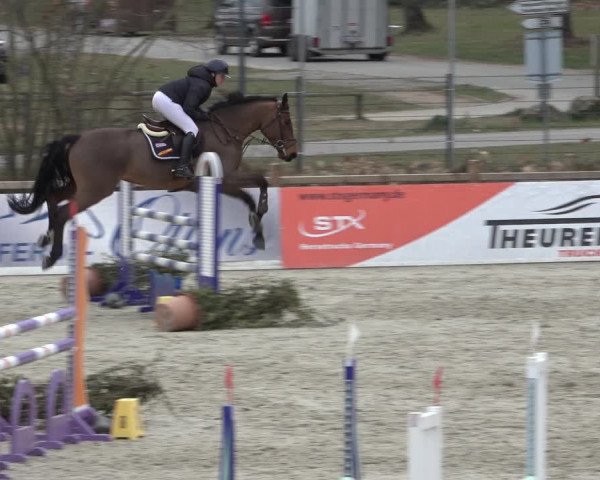 Reitturnier Westergellersen 2022