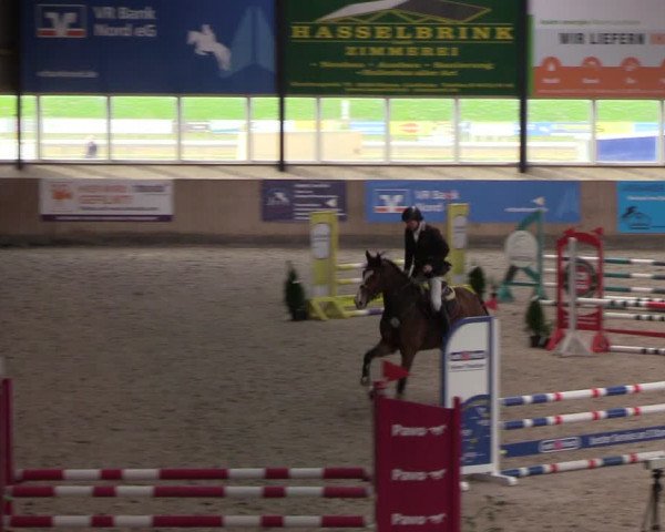 Reitturnier Niebüll 2022