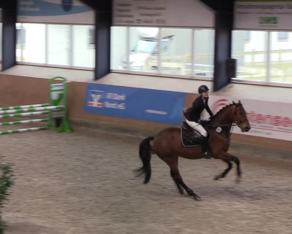 Reitturnier Niebüll 2022