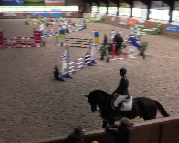 Reitturnier Niebüll 2022