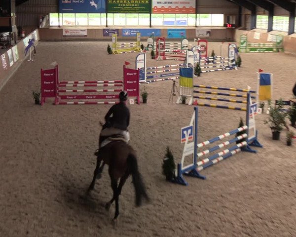 Reitturnier Niebüll 2022
