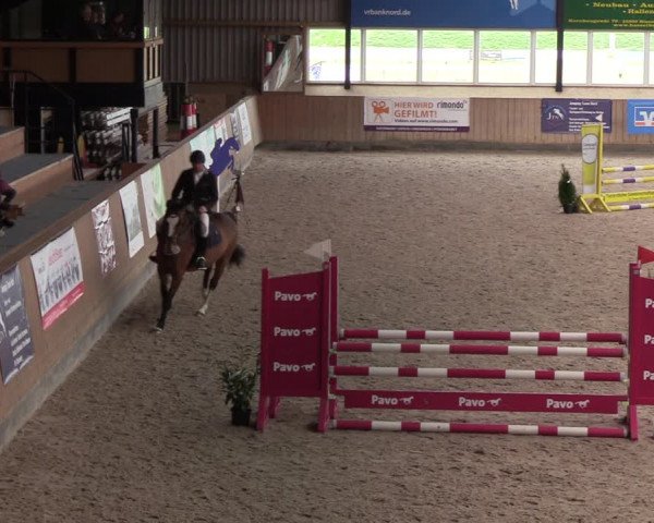 Reitturnier Niebüll 2022