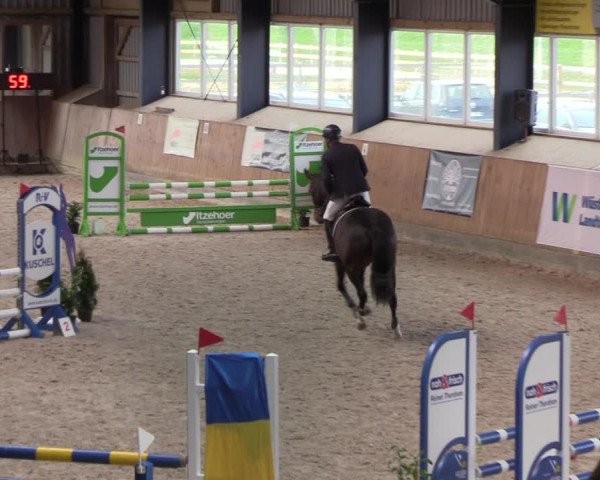 Reitturnier Niebüll 2022