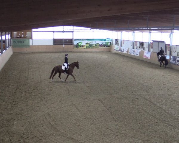 Reitturnier Borgholzhausen-Westbarthausen 2022