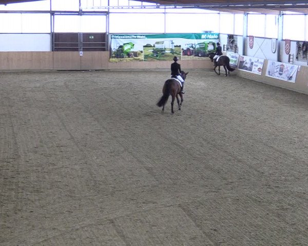 Reitturnier Borgholzhausen-Westbarthausen 2022