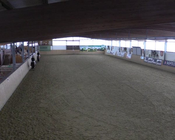 Reitturnier Borgholzhausen-Westbarthausen 2022