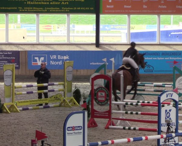 Reitturnier Niebüll 2022