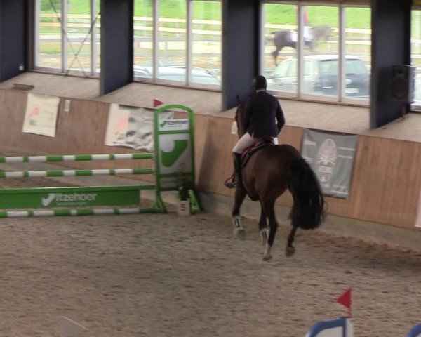 Reitturnier Niebüll 2022