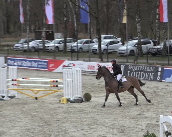 Reitturnier Westergellersen 2022