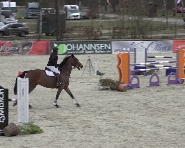 Reitturnier Westergellersen 2022