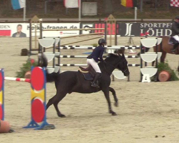 Reitturnier Westergellersen 2022